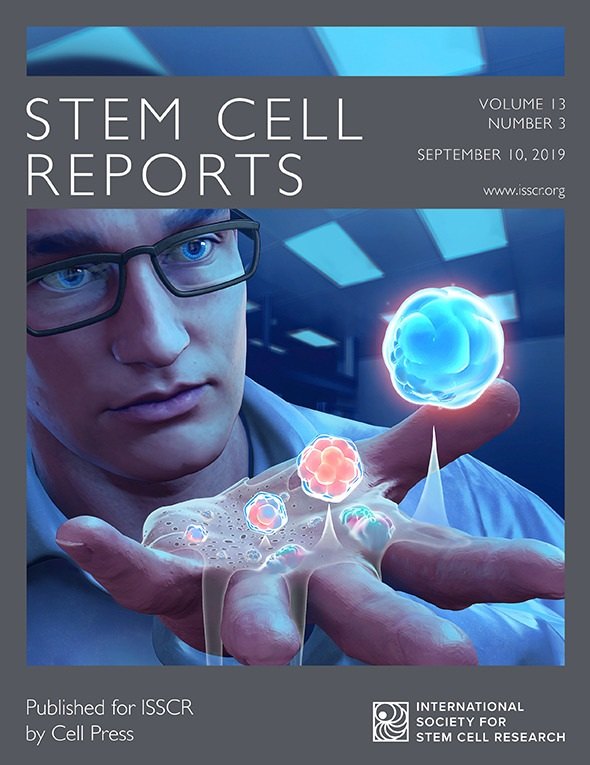 Stem Cell Reports cover, September 2019. Artwork by Michael Kime from a visual design by Cody Kime.